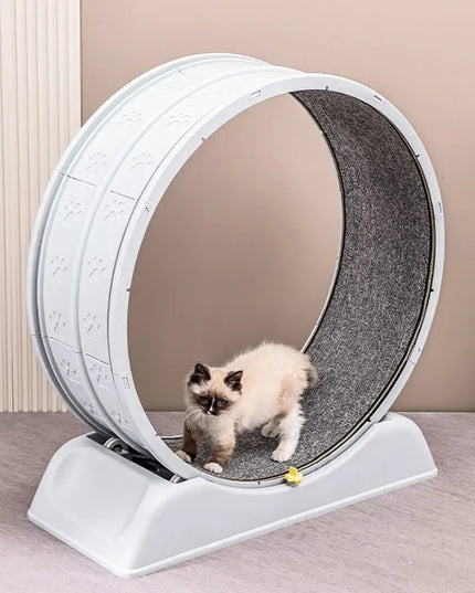 Silent Cat Exercise Wheel