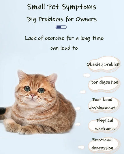 Silent Cat Exercise Wheel