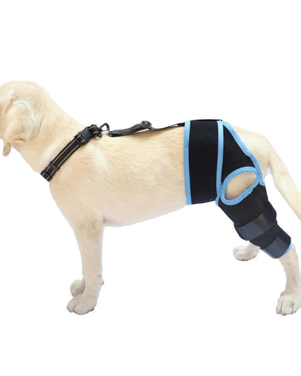 Dog Leg Support Brace - Help Your Dog Walk Comfortably Again