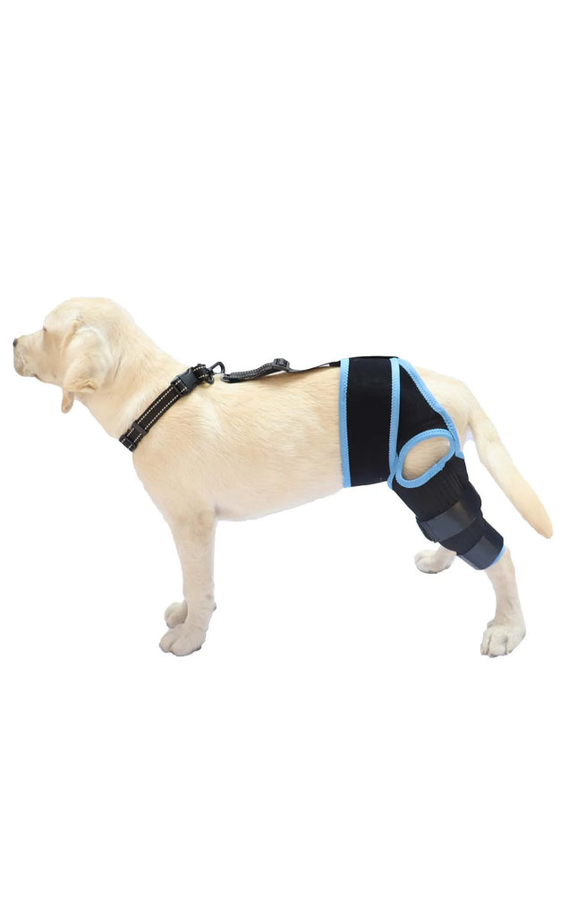 Dog Leg Support Brace - Help Your Dog Walk Comfortably Again