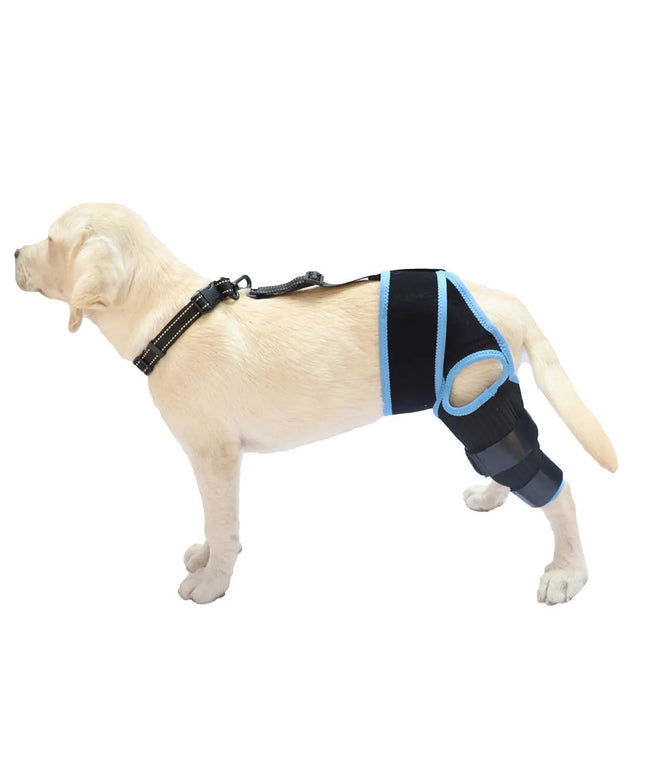 Dog Leg Support Brace - Help Your Dog Walk Comfortably Again
