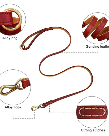 The Classic Leather Lead