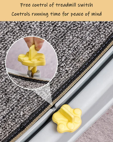 Silent Cat Exercise Wheel