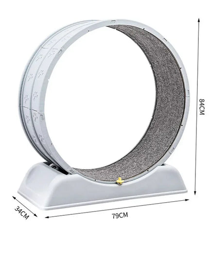Silent Cat Exercise Wheel