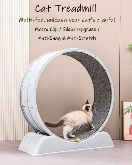Silent Cat Exercise Wheel