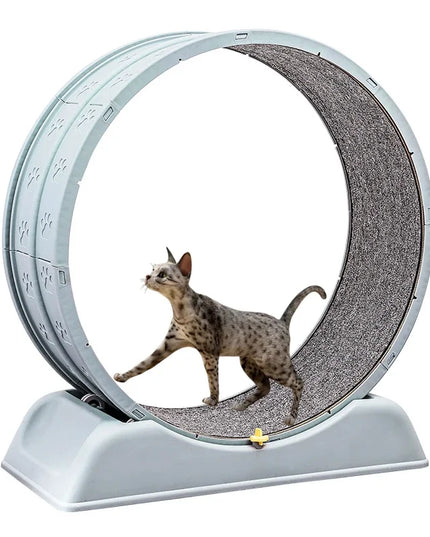 Silent Cat Exercise Wheel