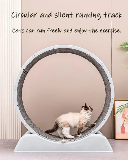 Silent Cat Exercise Wheel