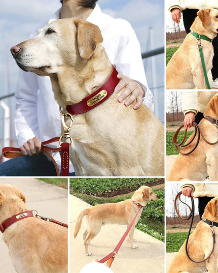 The Classic Leather Lead