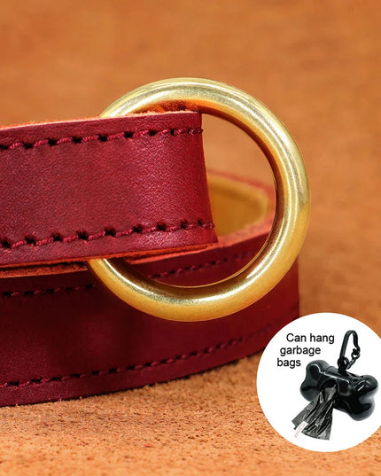The Classic Leather Lead
