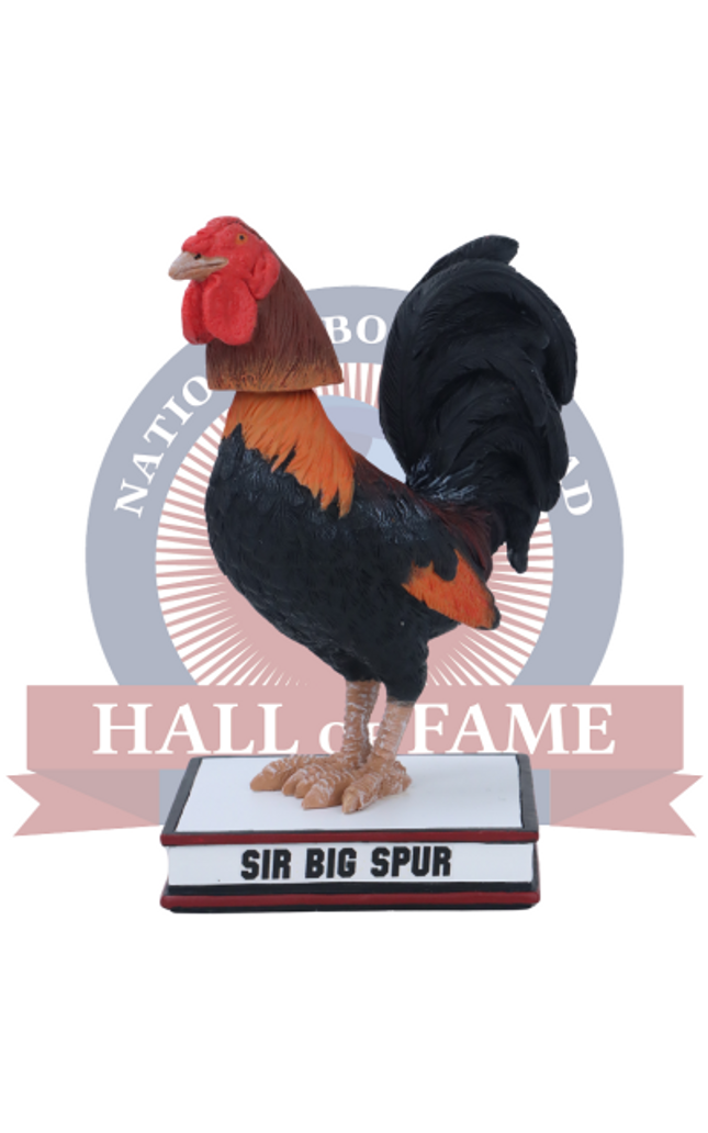 Sir Big Spur VII South Carolina Gamecocks Live Gamecock Bobblehead