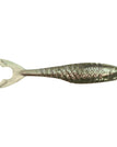 SilverFish