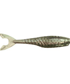 SilverFish