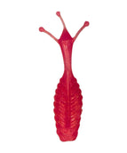 Alien D