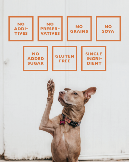 BAFFS NATURALS Lamb Lung Training Bites – All-Natural, Protein-Packed Dog Treats (7oz Bag)