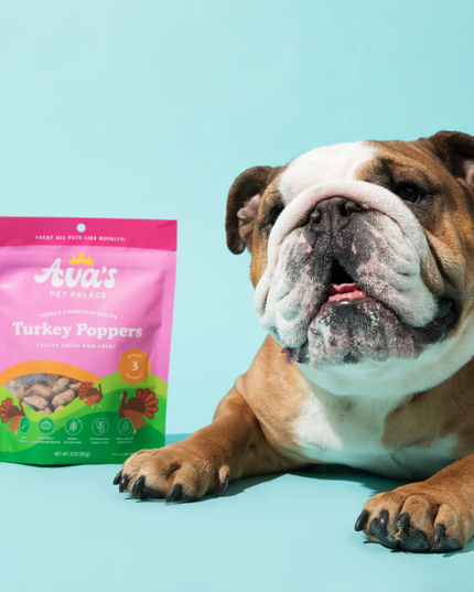 Ava's Pet Palace Freeze Dried Dog Treats - Turkey Poppers (3oz)