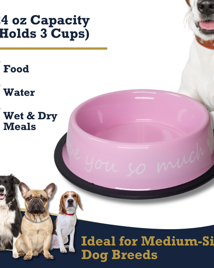 I LOVE YOU SO MUCH Modern Stainless Steel Dog Bowl – 24oz