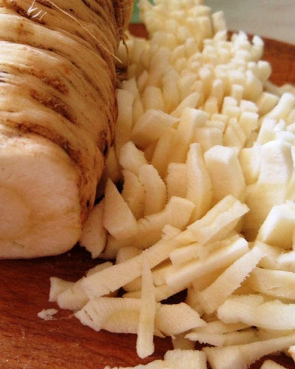 Dutch Hamburg Parsley Root Sugar Heirloom Herbs Vegetable Non GMO - 2000 Seeds