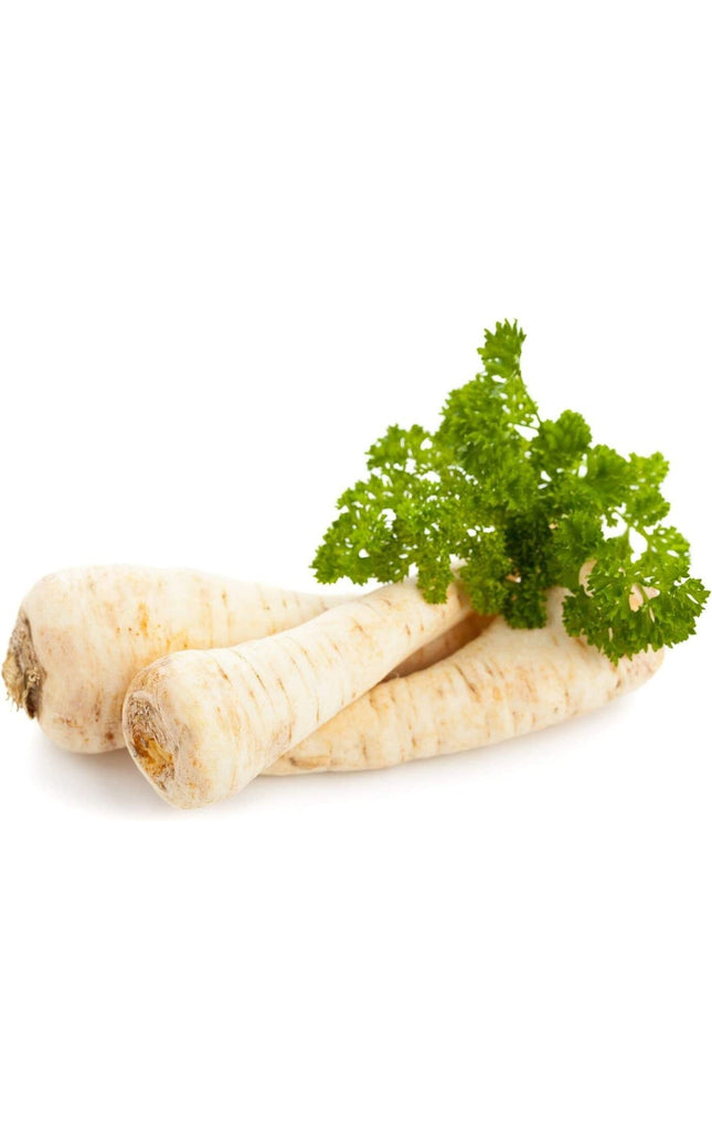 Dutch Hamburg Parsley Root Sugar Heirloom Herbs Vegetable Non GMO - 2000 Seeds