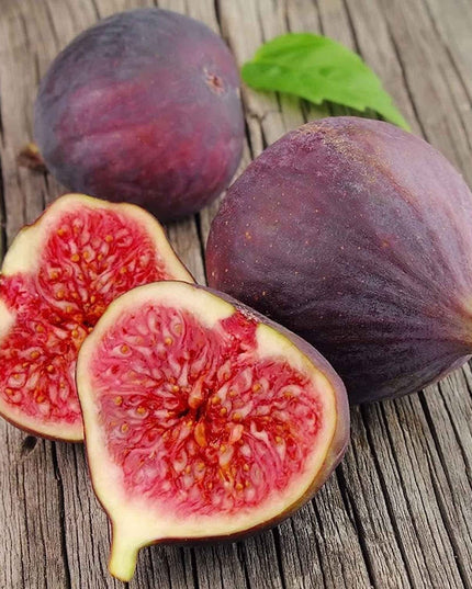 Ficus Carica Fig - 100 Seeds - Sweet Fruit Shrub Tree