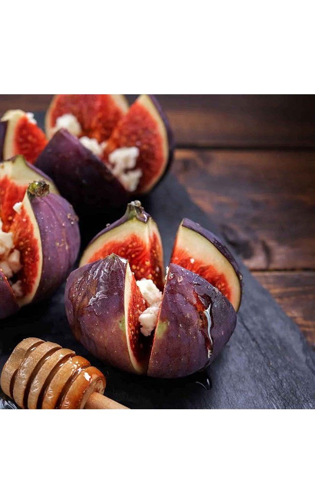 Ficus Carica Fig - 100 Seeds - Sweet Fruit Shrub Tree