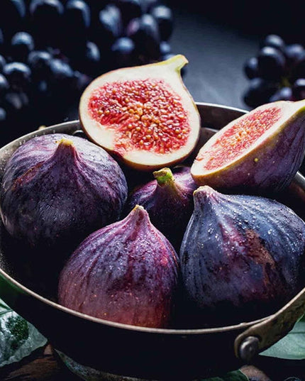 Ficus Carica Fig - 100 Seeds - Sweet Fruit Shrub Tree