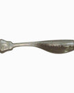 Silver Fish