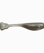 Silver Fish