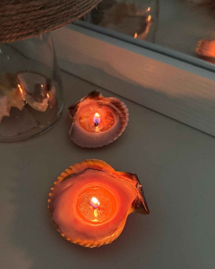DIY Seashell Candle Kit: Soy Wax Candles