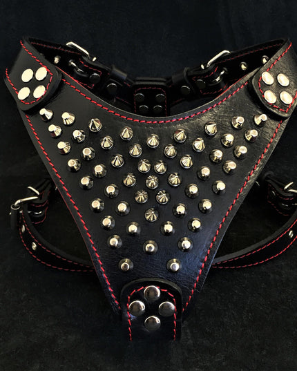 ''Frenchie'' studded leather harness Small to Medium Size