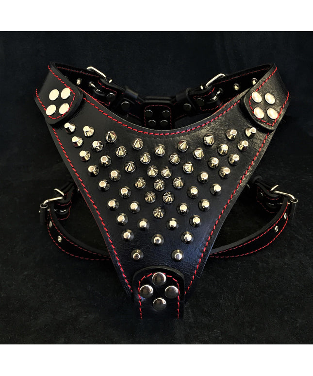 ''Frenchie'' studded leather harness Small to Medium Size