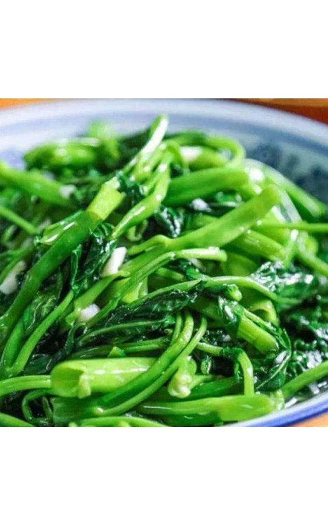 Kong Xin CAI Seeds for Yard & Garden - Non-Gmo Rau Muong Green Leaf Vegetable Seeds for Planting - 95% Germination Rate Choy Ong Seeds Produ