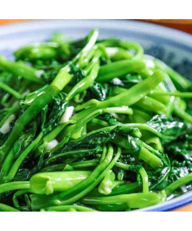 Kong Xin CAI Seeds for Yard & Garden - Non-Gmo Rau Muong Green Leaf Vegetable Seeds for Planting - 95% Germination Rate Choy Ong Seeds Produ