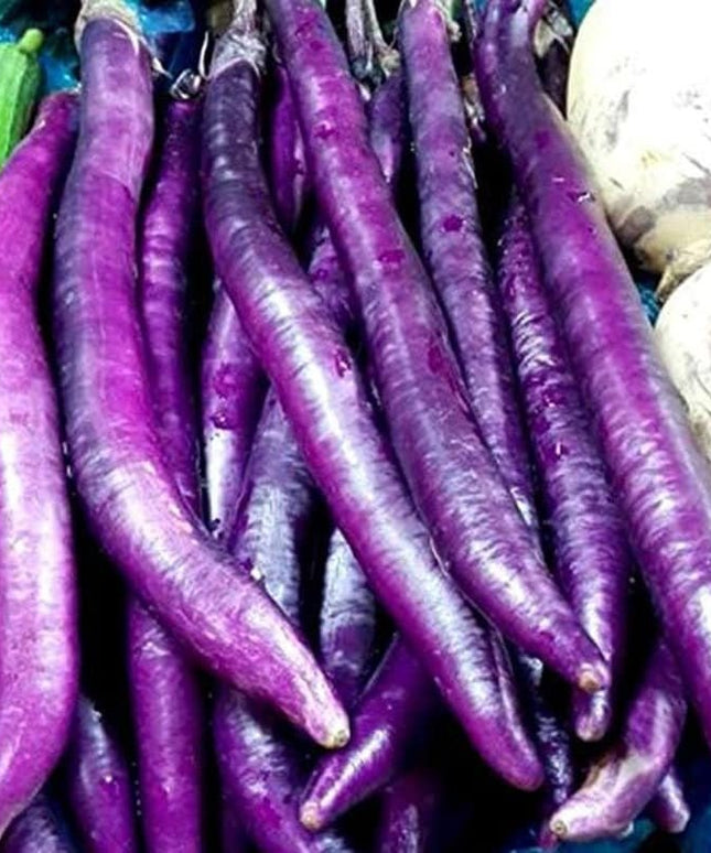 Long Purple Eggplant Seeds - Solanum Melongena - Non-Gmo Aubergine Asian Vegetable