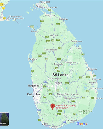 Golden Reserve Black Tea | Plant-based Tea Bags