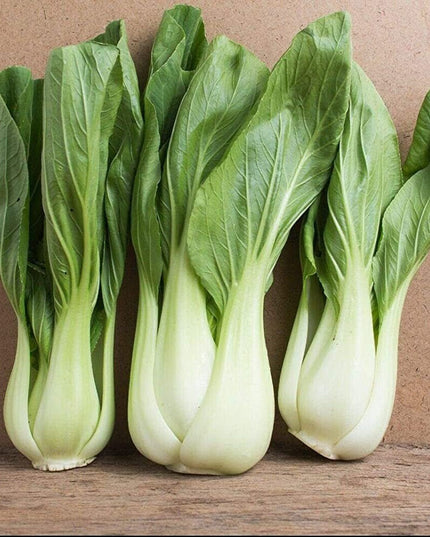 Pak Choi - 500 Seeds - Bok Choy Asian Vegetable Seeds Chinese Cabbage