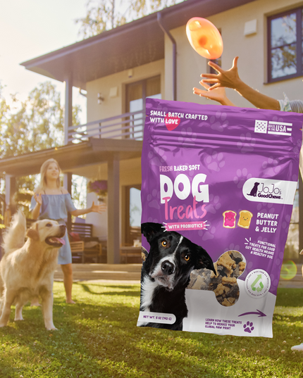 JoJo Good Chews Peanut Butter & Jelly Soft Chew Dog Treats