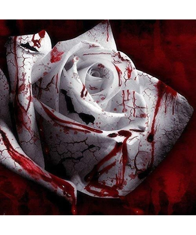 Rare White Blood Rose Plant Flower Seeds Flower Garden Asaka Rare True Blood Rose