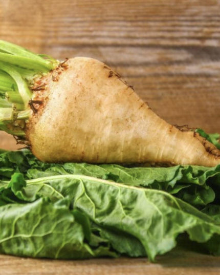 Sugar Beet - 250 Seeds - Non-Gmo Heirloom
