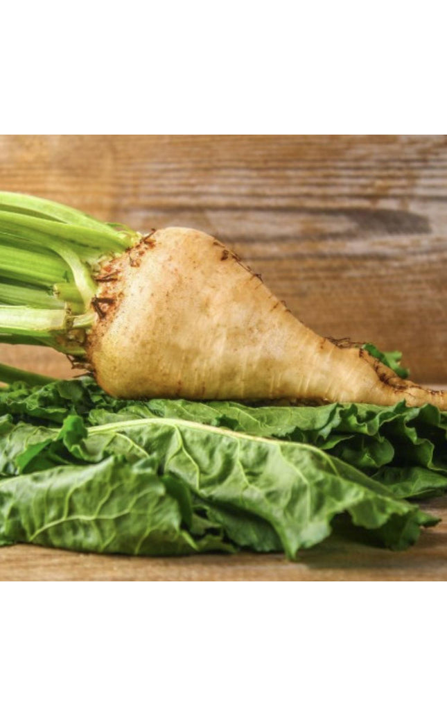 Sugar Beet - 250 Seeds - Non-Gmo Heirloom
