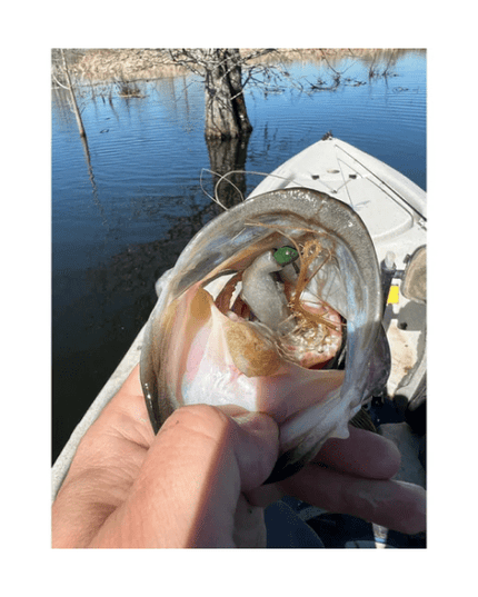 Techno Frog Bait