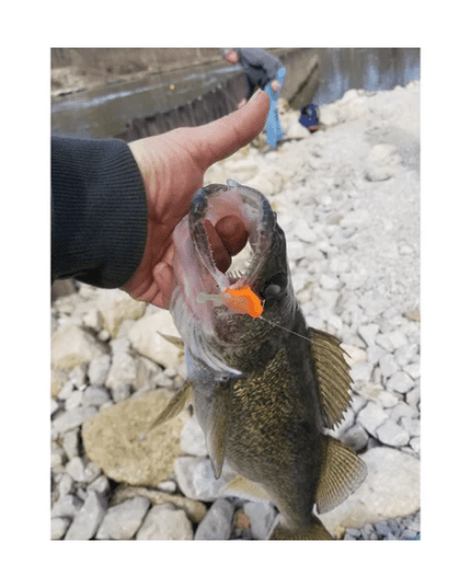 The Tadler Lure