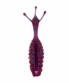 June Bug