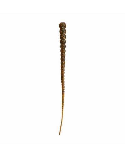 Whip Worm
