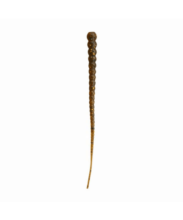 Whip Worm